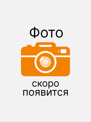 Лонгслив базовый